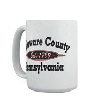 Delaware County Mugs